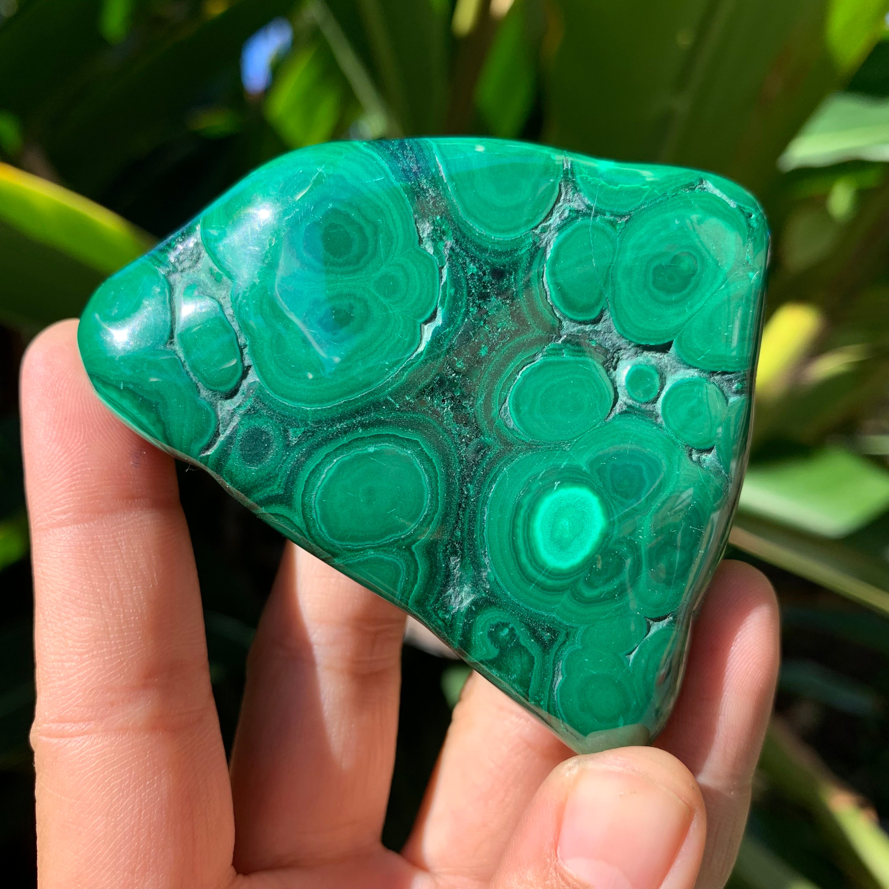Malachite – lemuriacrystalshop