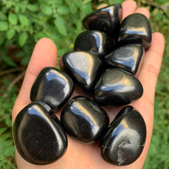 Shungite Tumble!