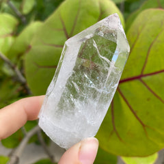 Lemurian Quartz Crystal #376