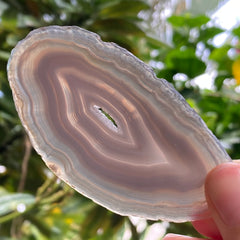 Agate Slice Small