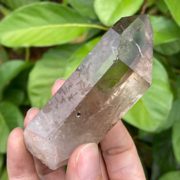 Smoky Lemurian Quartz Crystal #755