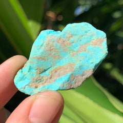 Turquoise #12