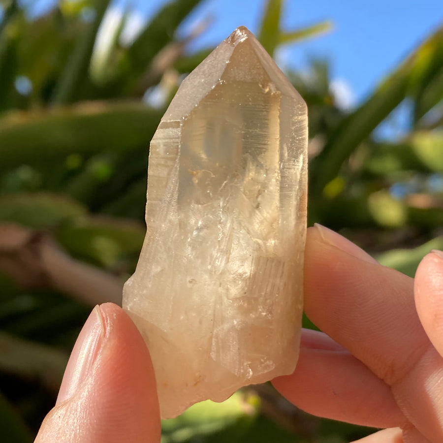 ✨All-Natural Congo Citrine Point #51