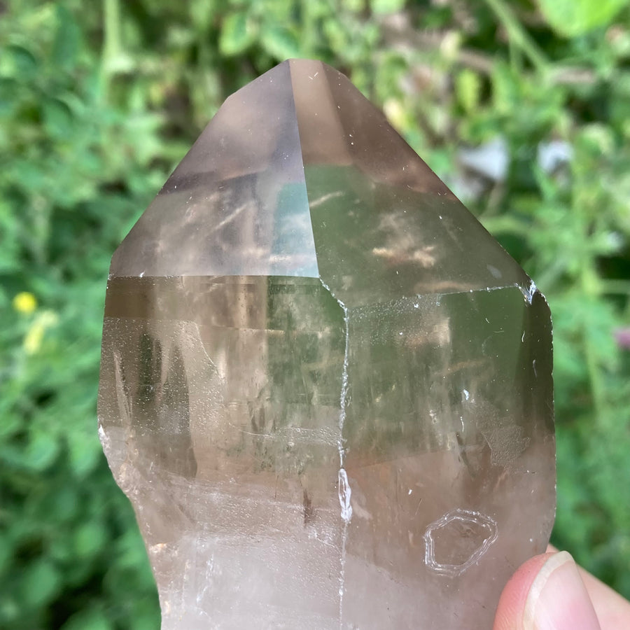 Smoky Lemurian Quartz Crystal #764