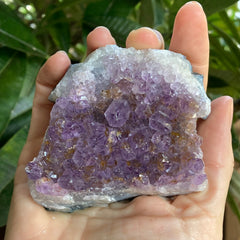 Amethyst Cluster #101