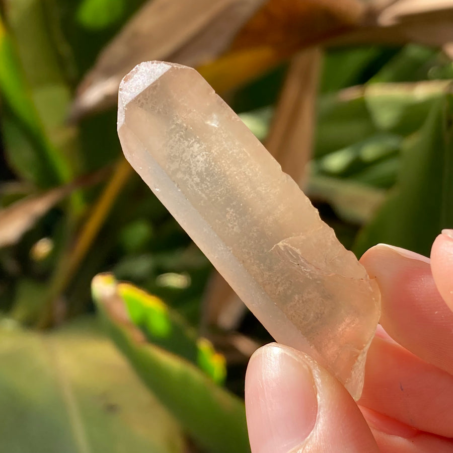 ✨All-Natural Congo Citrine Point #60