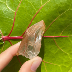Tangerine Quartz Point #22