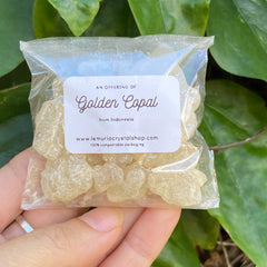 Golden Copal