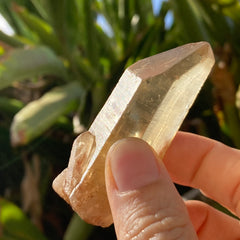 ✨All-Natural Congo Citrine Point #47