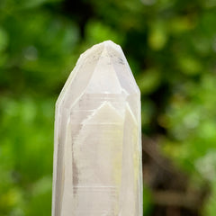 Phantom Lemurian Quartz Crystal #590