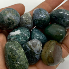 1x Moss Agate Tumble!