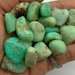 1x Chrysoprase Tumble!