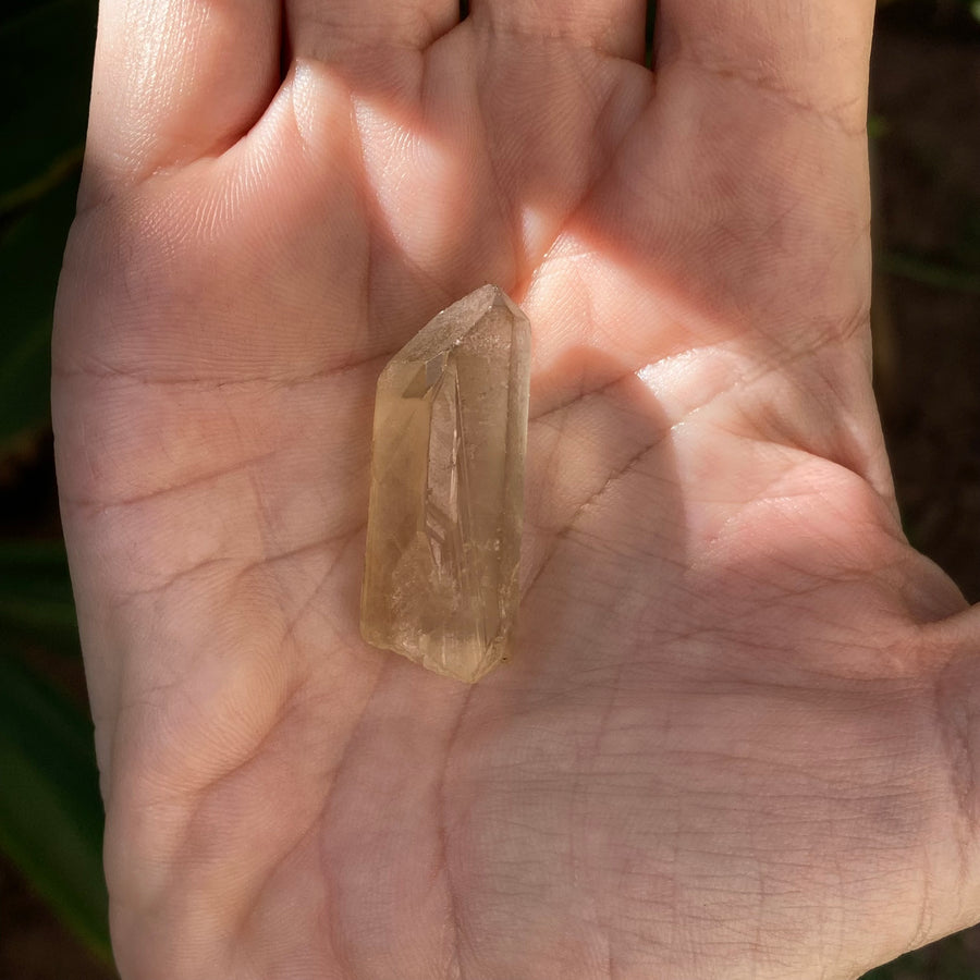 ✨All-Natural Congo Citrine Point #65