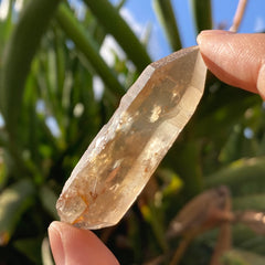 ✨All-Natural Congo Citrine Point #54