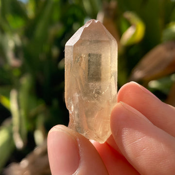 ✨All-Natural Congo Citrine Point #63