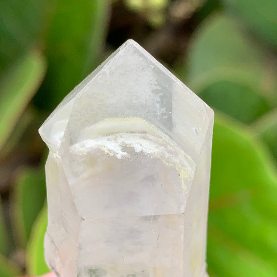 Phantom Lemurian Quartz Crystal #583