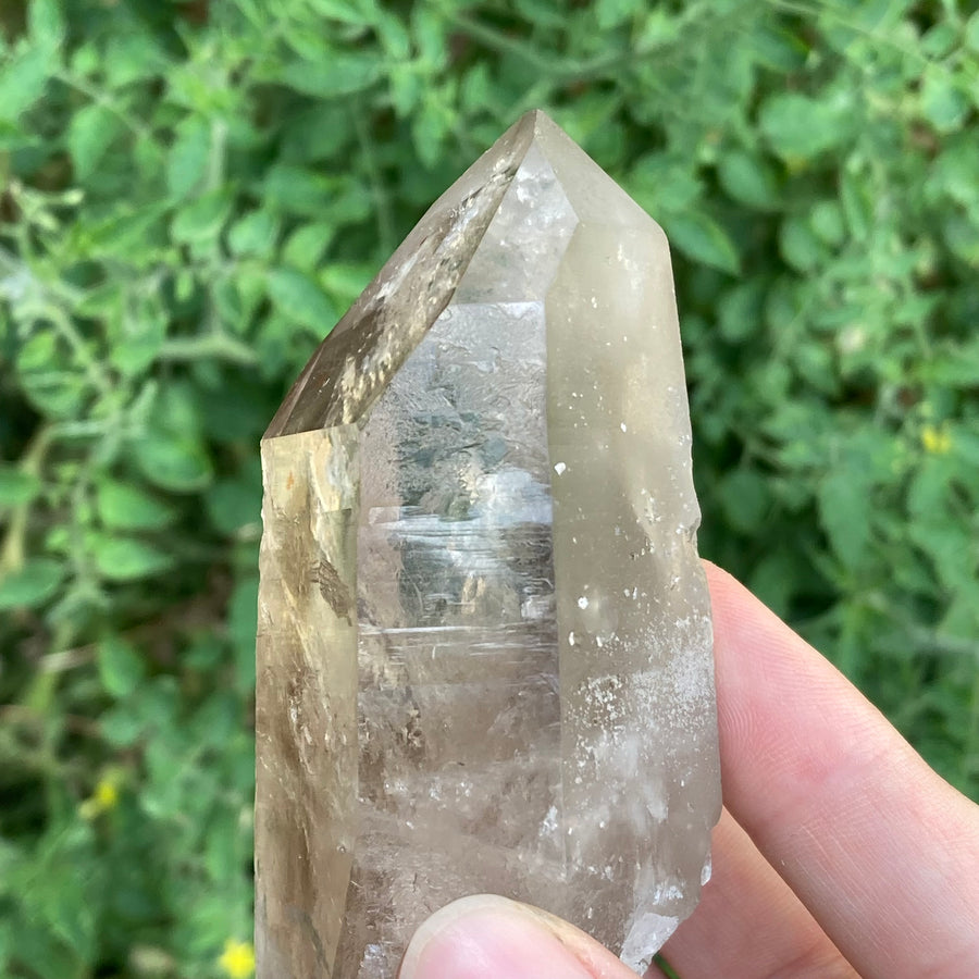 Smoky Lemurian Quartz Crystal #759