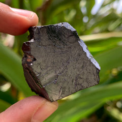 Elite Shungite Piece #98