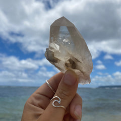 Lemurian Rutile Quartz #481