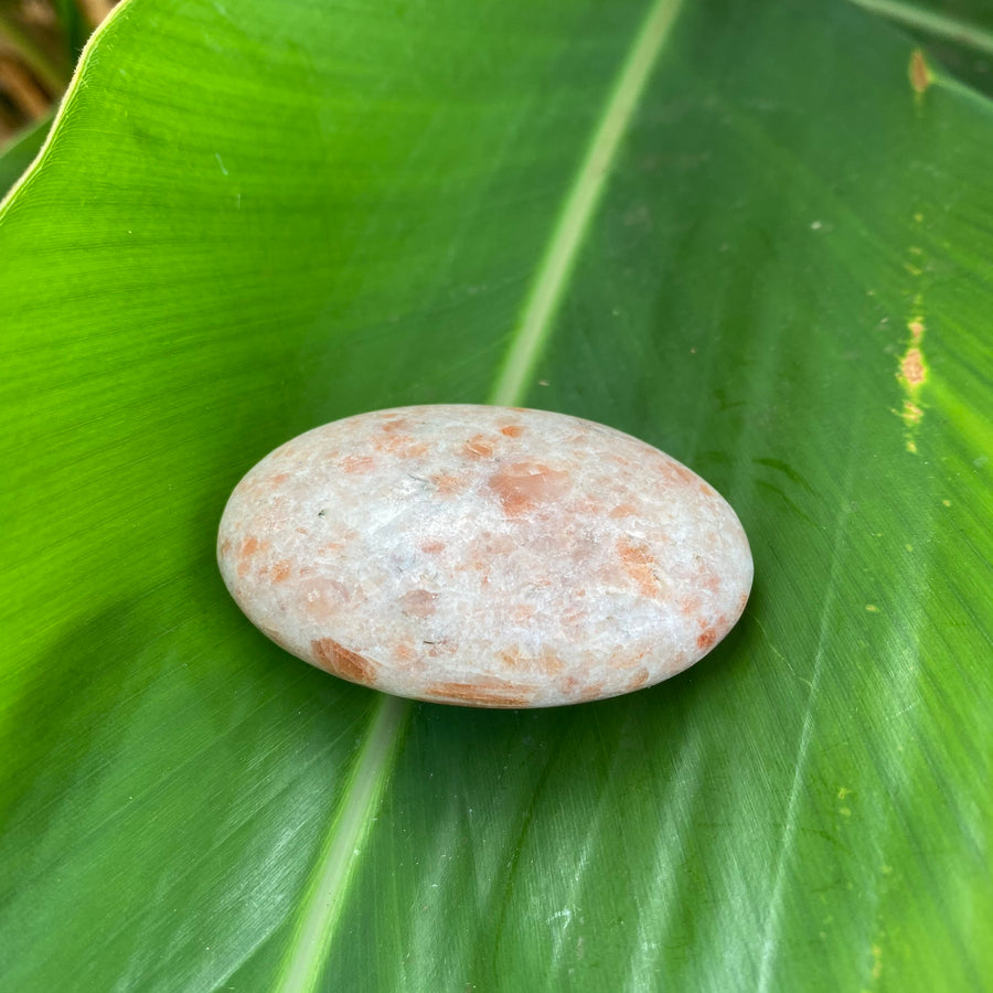 Sunstone Palm Stone #27