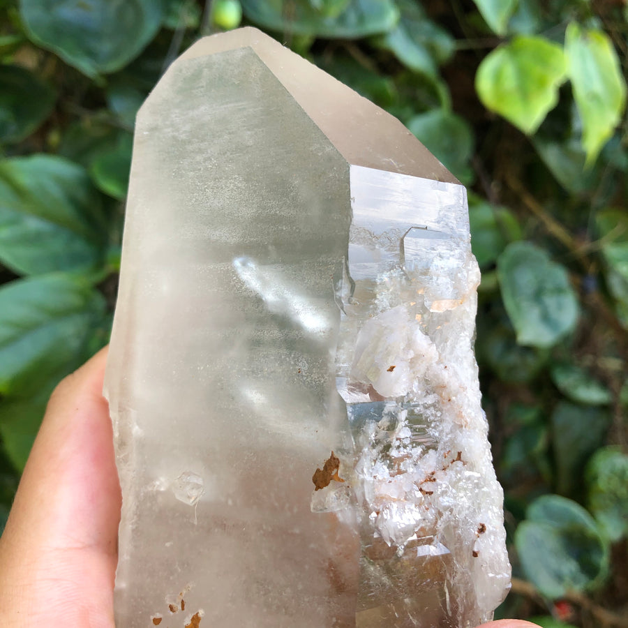 Smoky Lemurian Quartz Crystal #38