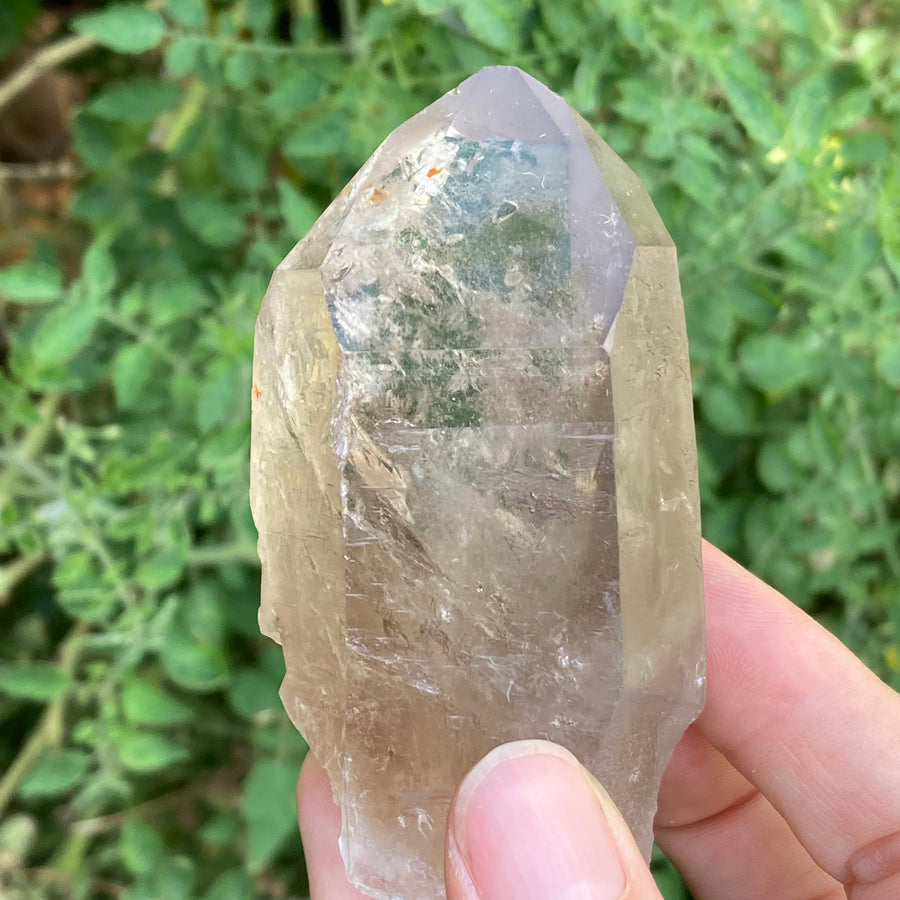 Smoky Lemurian Quartz Crystal #759