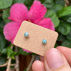 Sterling Silver Larimar Earrings (Circle) #66