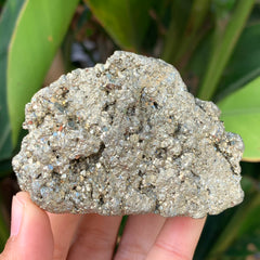 Pyrite #53