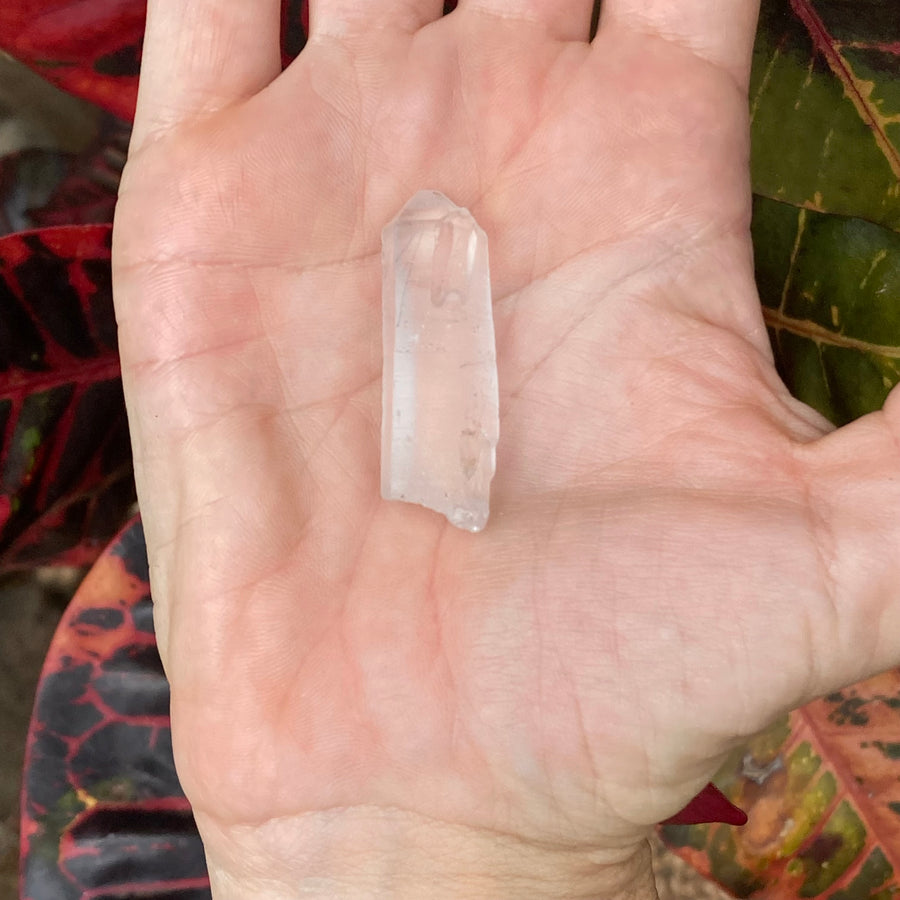 Lemurian Rutile Quartz Crystal #800