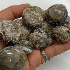 1x Aragonite Tumble!