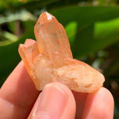 Tangerine Quartz Cluster #38