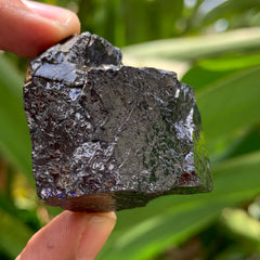 Elite Shungite Piece #97