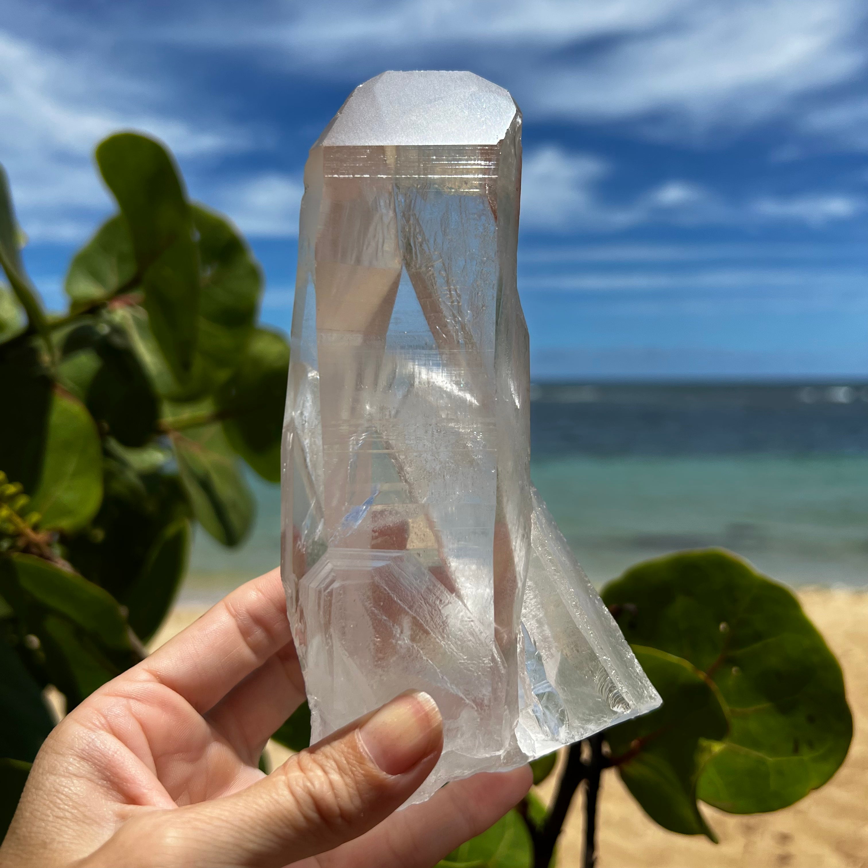 lemurian XL Lemurian Quartz Crystal #894 – lemuriacrystalshop