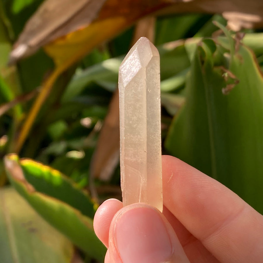 ✨All-Natural Congo Citrine Point #60