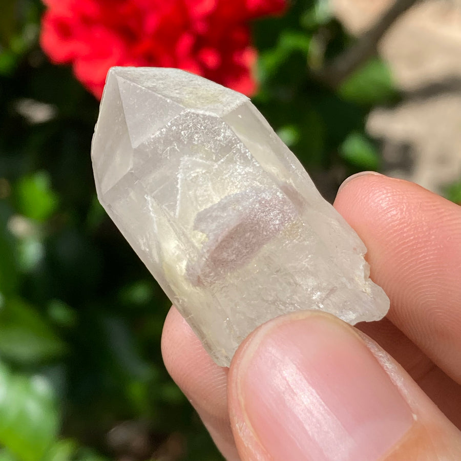 Phantom Lemurian Quartz Crystal #727