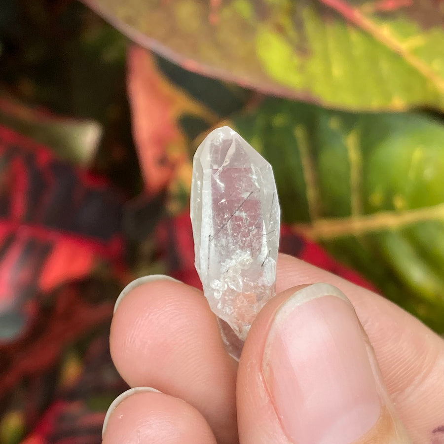 Lemurian Rutile Quartz Crystal #687