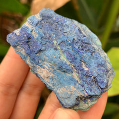 Azurite with Malachite #60