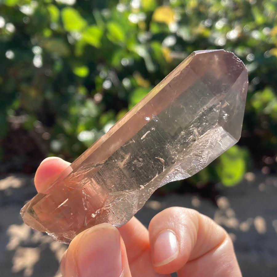 Smoky Lemurian Quartz Crystal #853