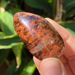 Lodolite Quartz #99