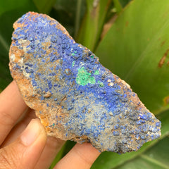 Azurite with Malachite #67