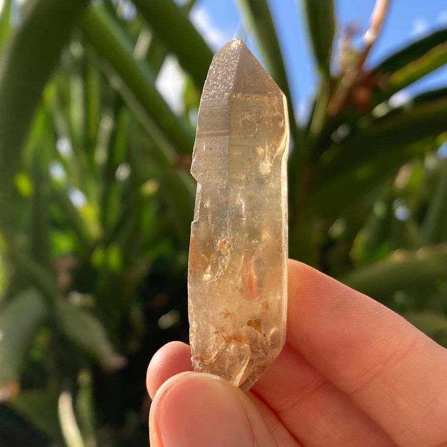 ✨All-Natural Congo Citrine Point #54