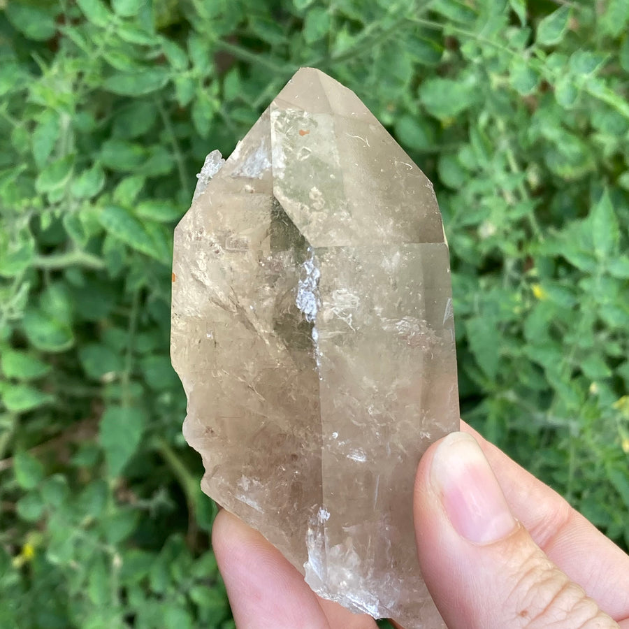 Smoky Lemurian Quartz Crystal #759