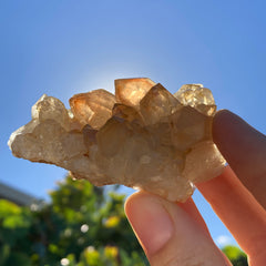 Congo Citrine Cluster #34