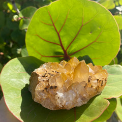 Congo Citrine Cluster #40