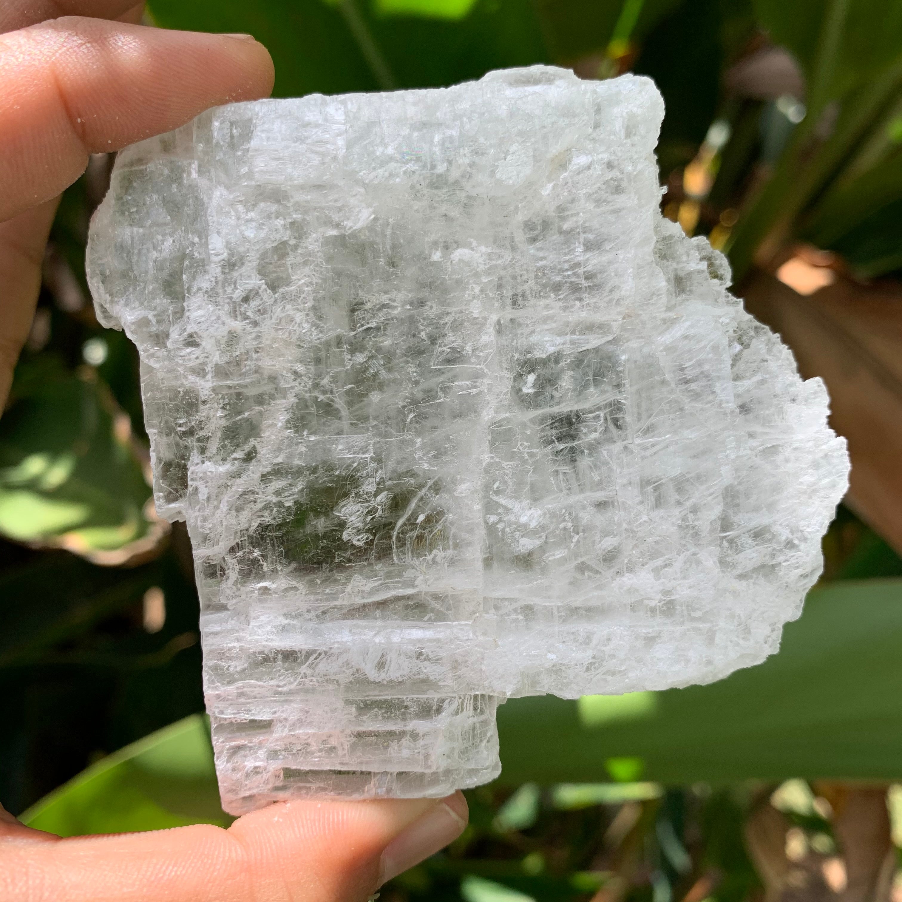 Selenite – lemuriacrystalshop