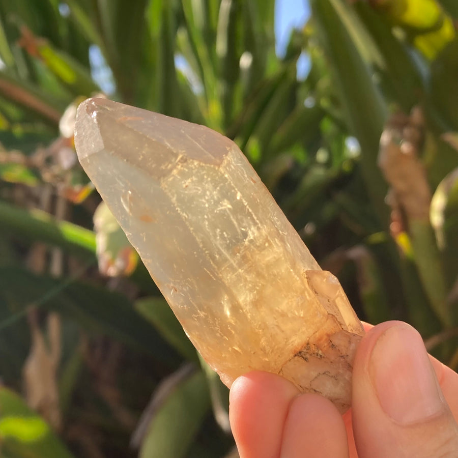 ✨All-Natural Congo Citrine Point #47