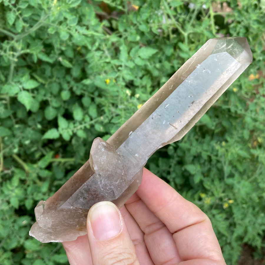 Smoky Lemurian Quartz Crystal #758