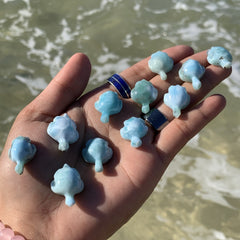 1x Larimar 🐢Turtle!